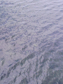 a0013236_20502545.jpg