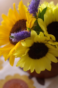 b0057839_208887.jpg