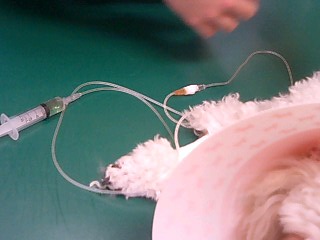 c0117239_1621236.jpg