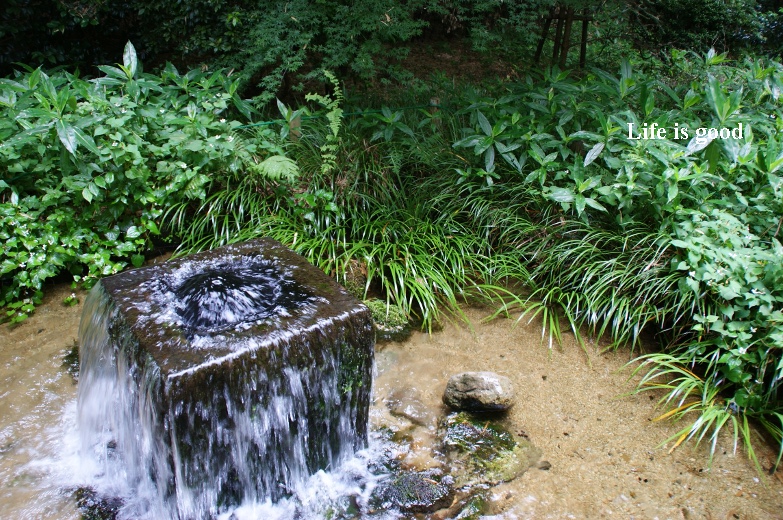 b0140347_21221443.jpg