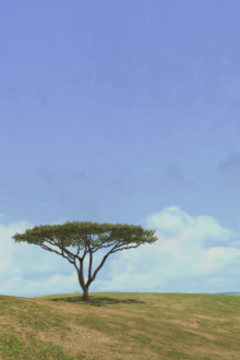 AFRIKA_6