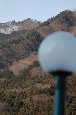 D40と夫のぼやき-DSC_5236.jpg