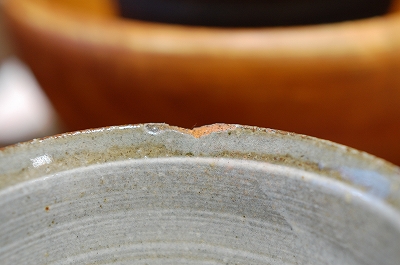 D40と夫のぼやき-DSC_7865.jpg