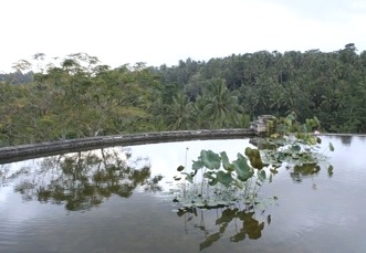 b0025850_19225127.jpg