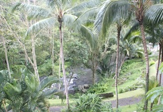 b0025850_19335076.jpg