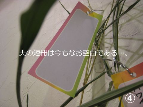 a0090451_2332665.jpg