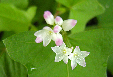 a0001354_2319444.jpg