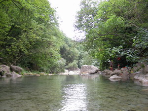 f0102057_21265996.jpg