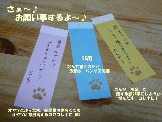 e0176159_1441440.jpg