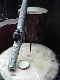 c0144868_2265634.jpg