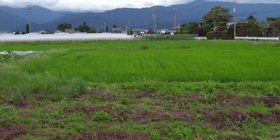 c0166668_22532186.jpg