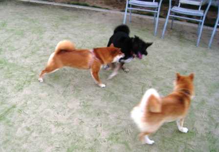 c0171368_2227436.jpg