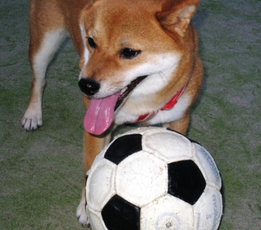 c0171368_22354117.jpg