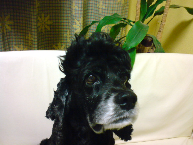 f0096569_0592478.jpg