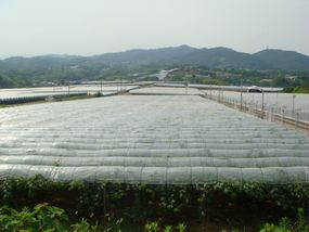 f0134669_23392624.jpg