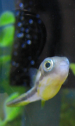 a0014770_05641.jpg