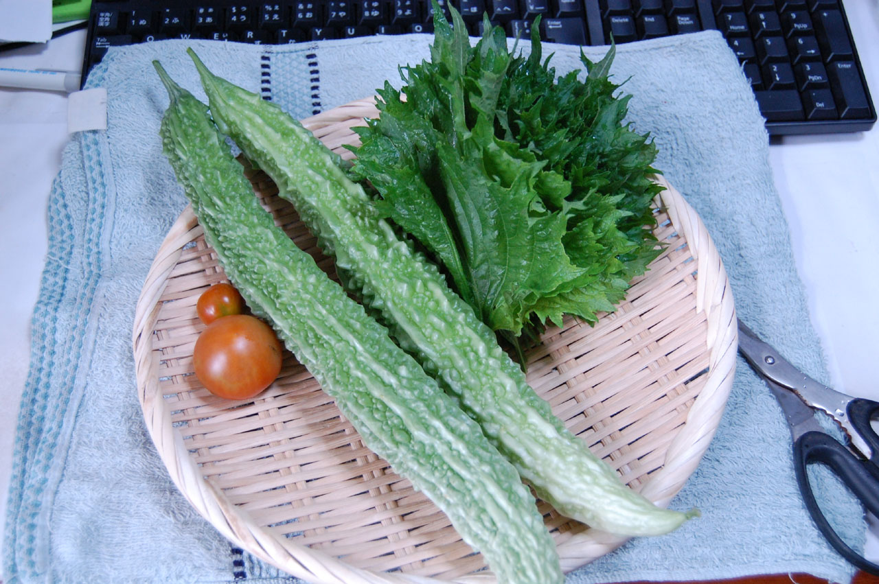 c0199370_824757.jpg