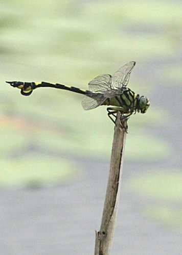f0181173_14415042.jpg