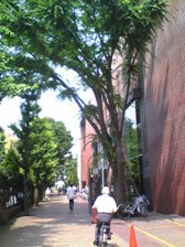 c0102375_3554886.jpg
