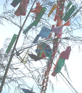b0138478_112264.jpg