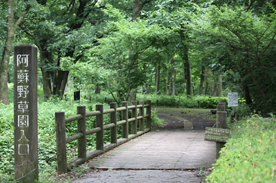 c0152779_1215861.jpg