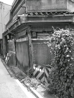 f0100480_2159038.jpg