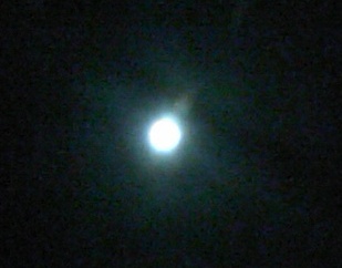 e0069481_21303318.jpg