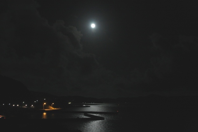 b0115085_23372855.jpg