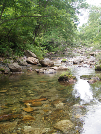 b0178889_9433044.jpg
