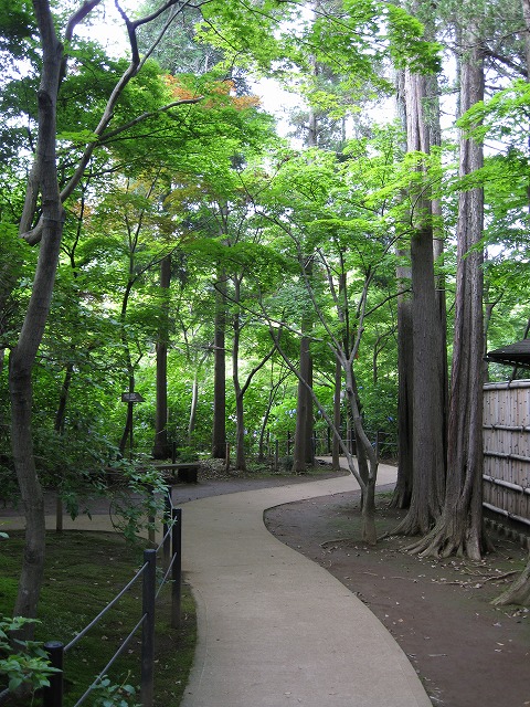 c0106491_10513173.jpg