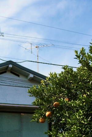 d0133693_21251887.jpg