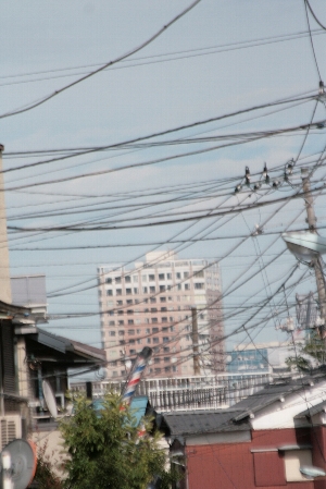 d0133693_2125281.jpg