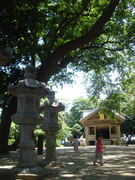 c0161594_11957.jpg