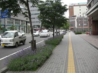 c0187298_2242047.jpg