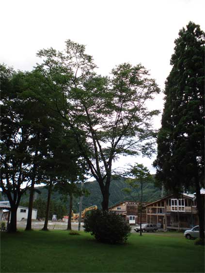 a0061599_6251168.jpg