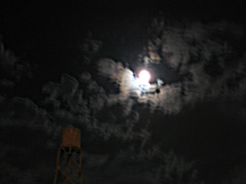 b0097200_0125412.jpg