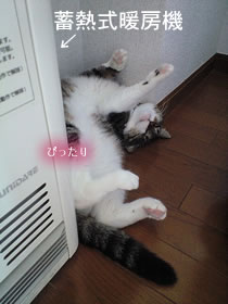 c0035001_14514983.jpg