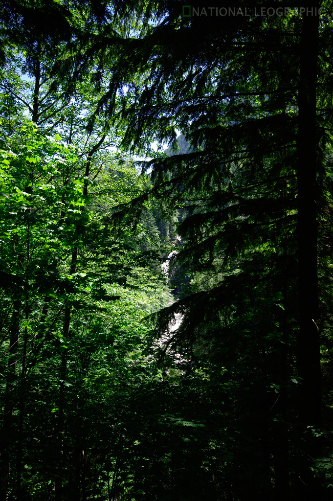 c0080101_123232.jpg