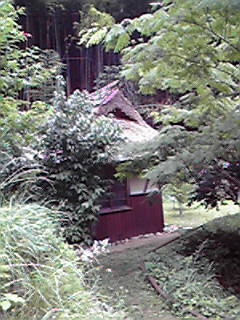 c0161301_1654413.jpg