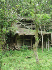 c0129702_21423252.gif