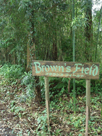 c0129702_2152967.gif