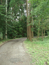 c0129702_22175852.gif