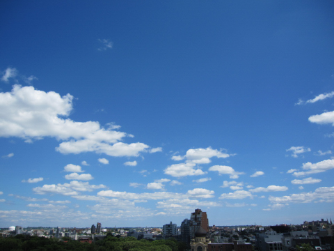 e0039002_072652.jpg