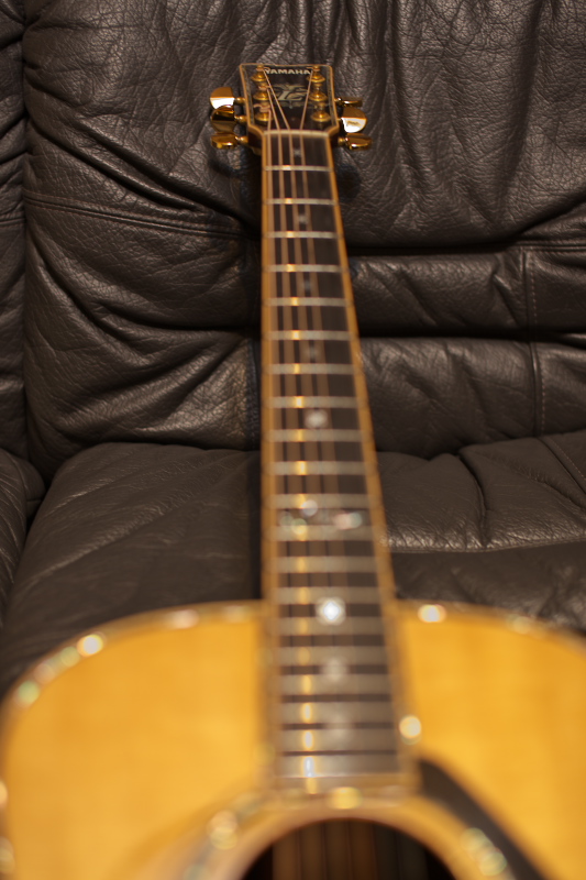 a0083903_214137100.jpg