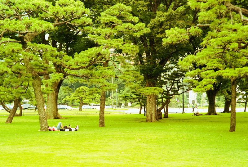 c0191707_158297.jpg