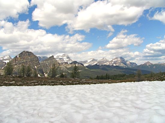 b0051109_8115533.jpg