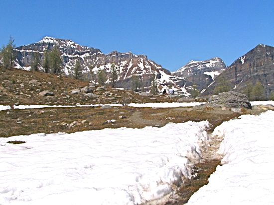 b0051109_813386.jpg