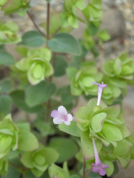 c0145209_22535398.jpg