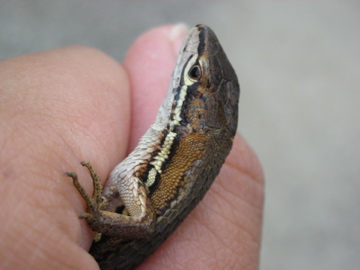 c0145209_23173115.jpg