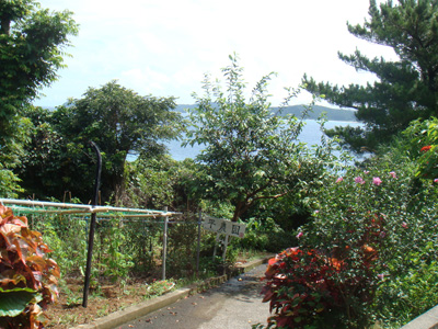 a0019212_23134963.jpg